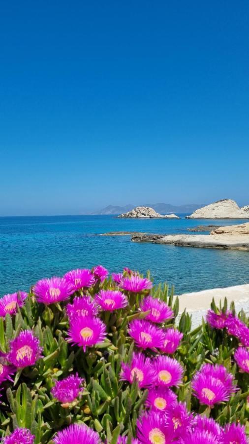 Anassa Milos House Μαντράκια Εξωτερικό φωτογραφία
